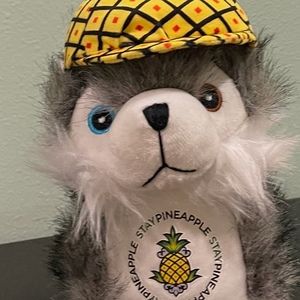 Meet your Posher, Quentin